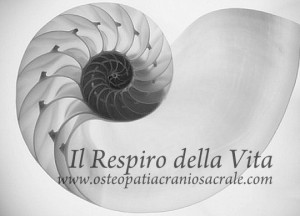 il respiro della vita