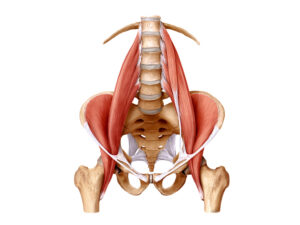 psoas ok