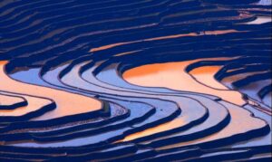 67700a46tbc95779471aa690