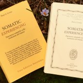 copertine-levine-172x172