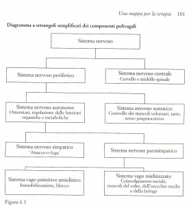 levine schela poliv1