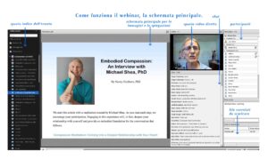 webinar-schermo