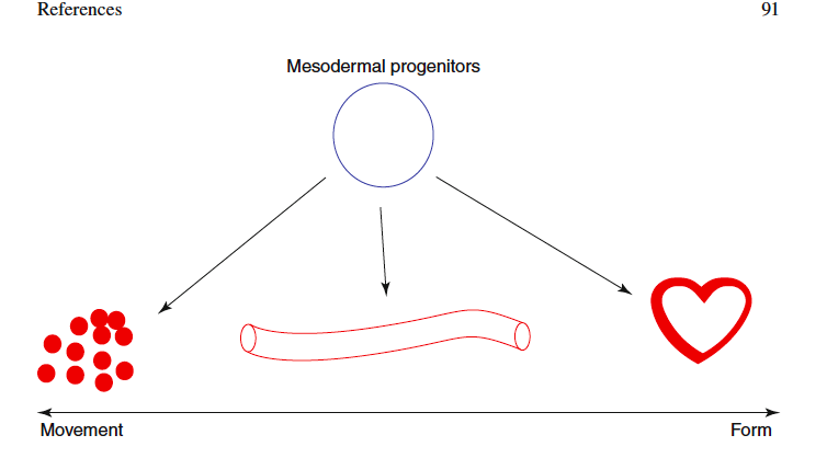 Schermata 2015-10-25 alle 19.09.00