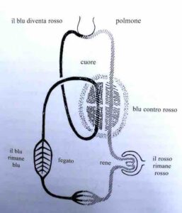 connessioni spirituali