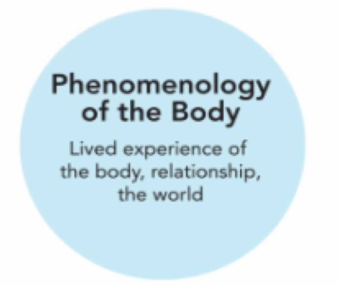 Phenomenology
